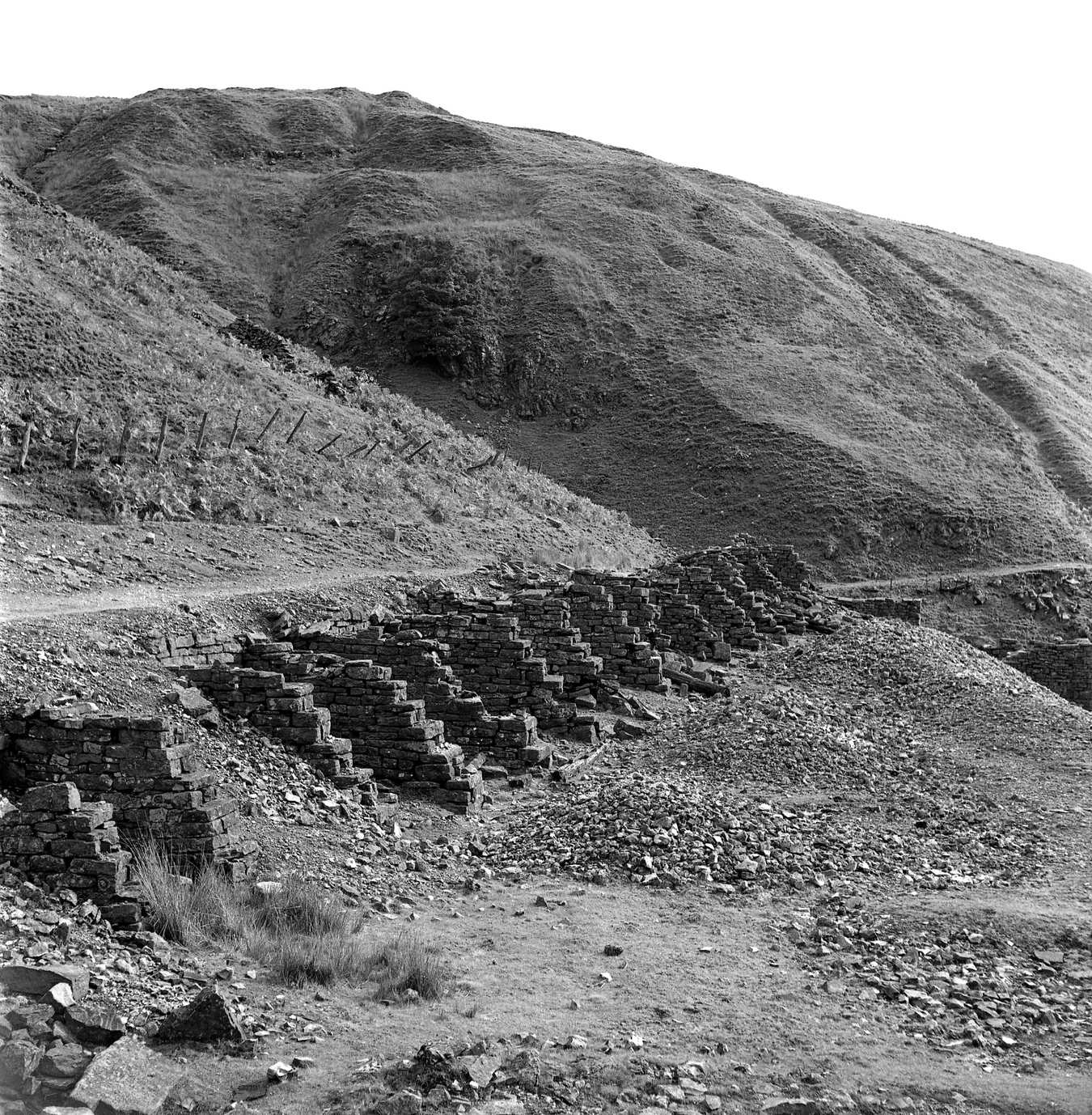 Bouse teems Bunton 1975